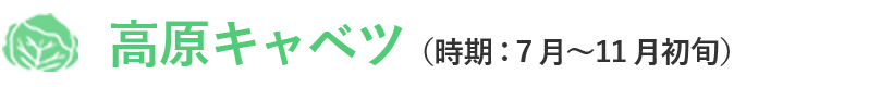 高原キャベツ（時期：7月～11月初旬）